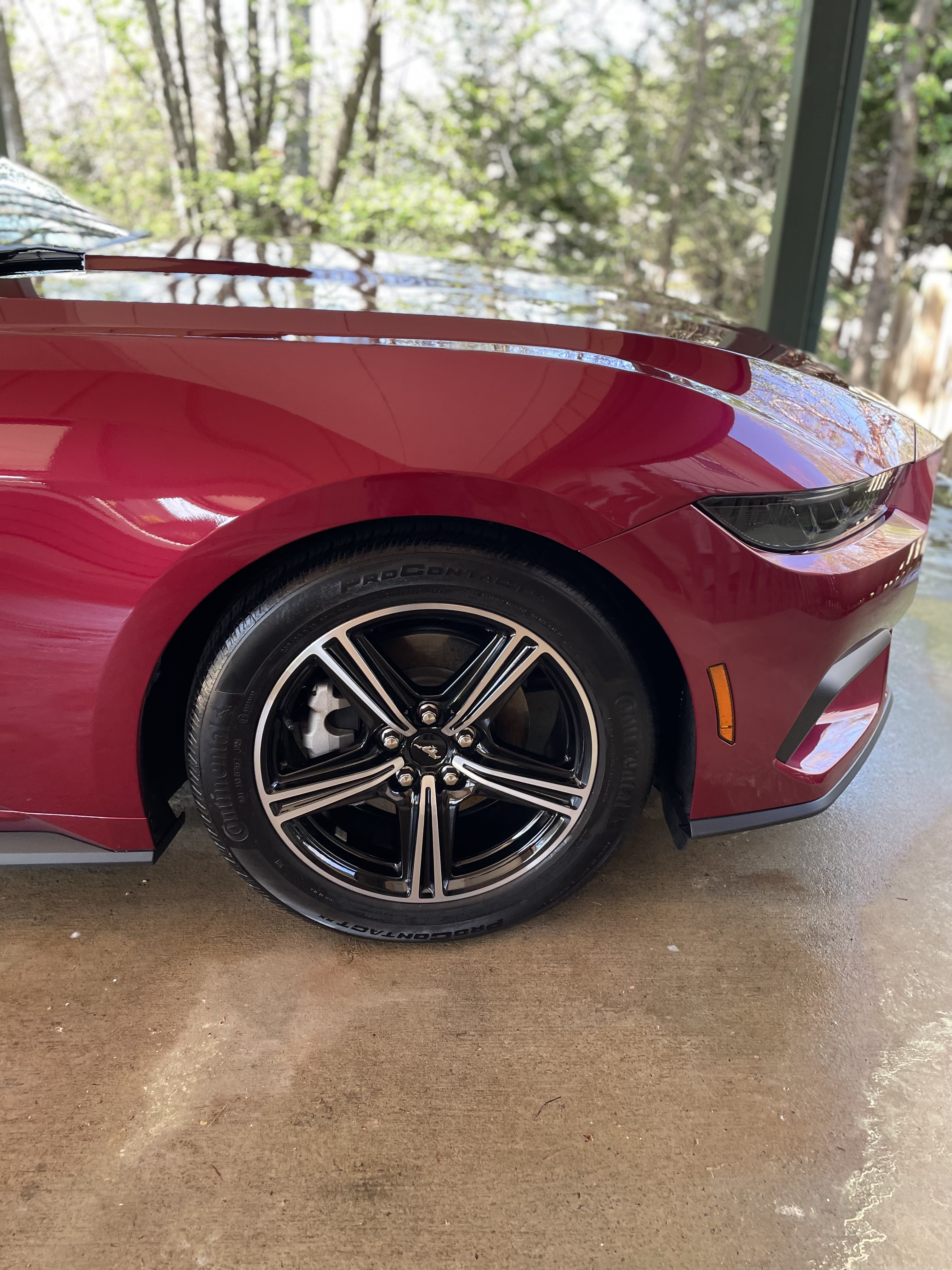 Our detailing work 12